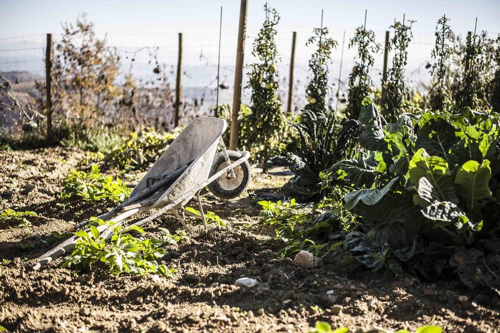 Azienda Agrituristica Alcastle Montabone Εξωτερικό φωτογραφία